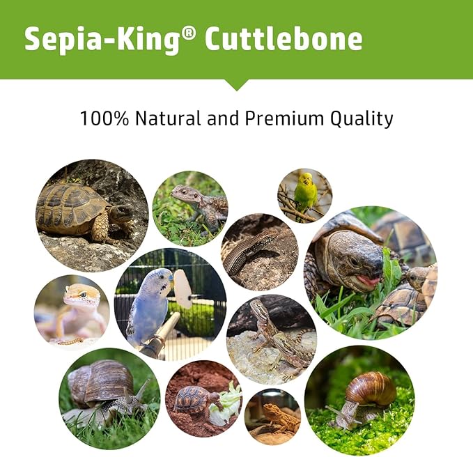 Crushed - 100% Natural Calcium Supplement - Premium Cuttlebone Perfect for Birds, Tortoises, Snails, Reptiles - 3.5 oz