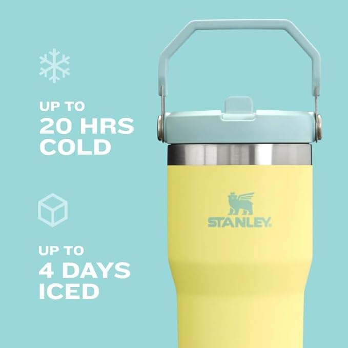Stanley IceFlow 2.0 Flip Straw Tumbler with Handle 30 oz | Twist On Lid and Flip Up Straw | Leak Resistant Water Bottle | Insulated Stainless Steel | BPA-Free | Exclusive Lupine