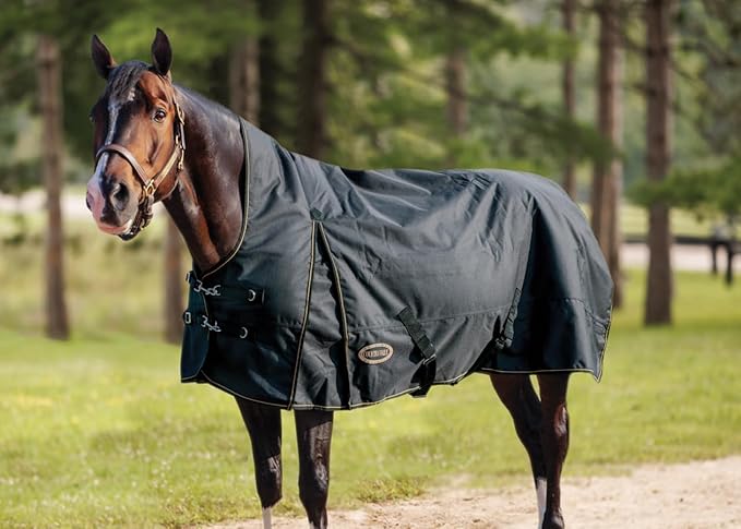Country Pride Paladin 1200D High Neck Heavyweight Turnout Blanket (72)