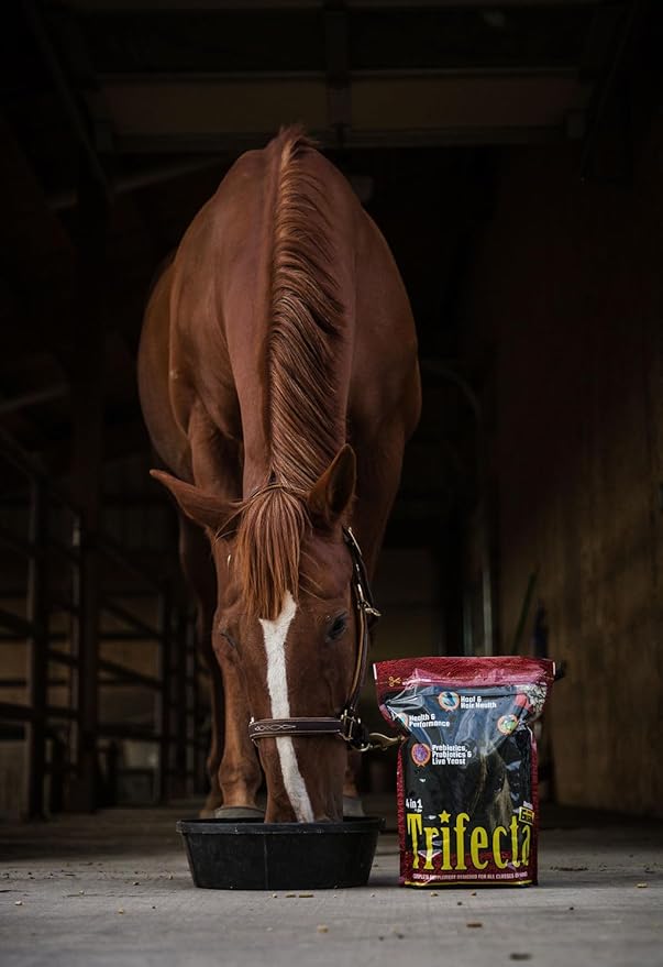 Horse Guard Trifecta 10 lb, 4 Equine Vitamin Minerals in 1 Complete Supplement