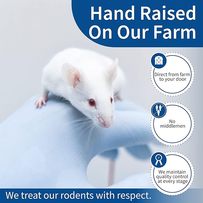 MiceDirect Frozen Mice Combo Pack of 40 Small Pinkies & 40 Pinkies Feeder Mice - Food for Corn Snakes, Ball Pythons, Lizards – 40 Ounce (Pack of 80)