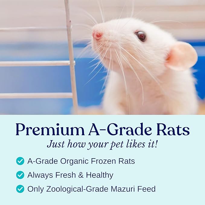 MiceDirect EST. 2003 Frozen Rat Medium Feeder Snake Food for Adult Ball Python Monitor, Lizard (15 Count)
