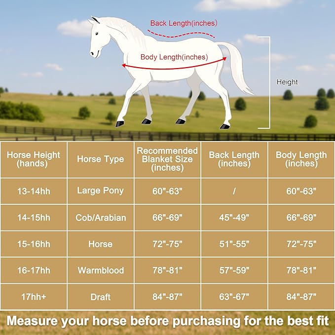 Horse Fleece Cooler, Blanket Liner - 300g Anti-Pilling Fleece, Moisture-Wicking, Cooling & Drying for Post-Workout, Bath & Travel, Prevent Overheating & Chilling Navy 84