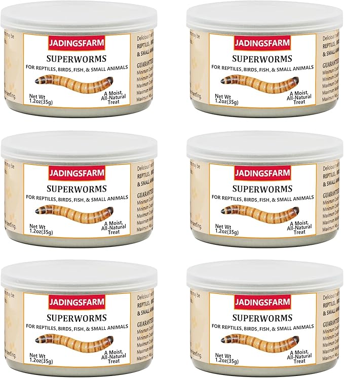 6 Pack Canned Superworms for Reptiles, Fish, Birds and Small Animals, Super Worms, Healthy High Protein Treat for Reptile Bird Fish Food 7.2 Ounces Total