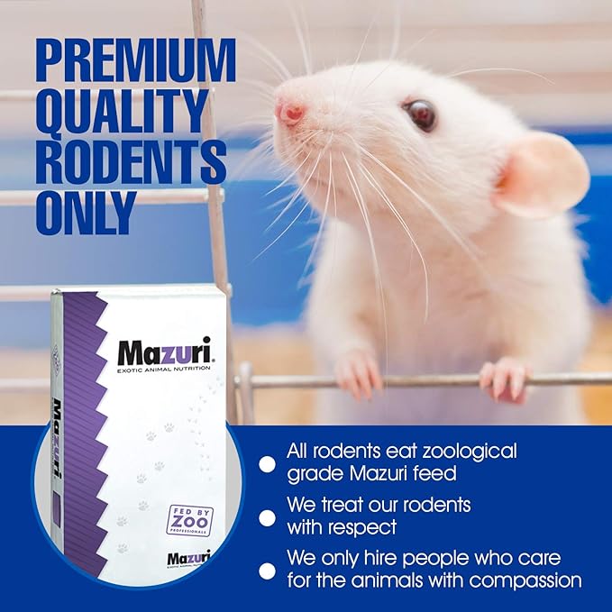 MiceDirect Frozen Mice Combo Pack 100 Fuzzies & 100 Hoppers Frozen Reptile & Snake Food (200 Count)