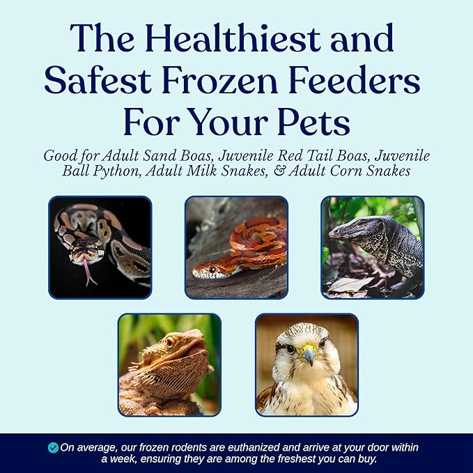 Frozen Large Adult Feeder Mice Food for Adult Ball Pythons Juvenile Red Tale Boa Monitors Lizards (200 Count)