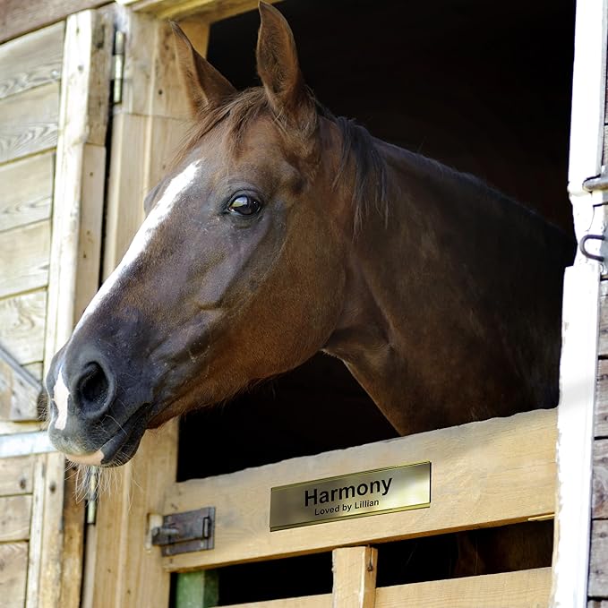 Personalized Horse Stall Name Plates, 2x6 Horse Stall Signs with Adhesive, All Weather UV Protected, Light Blue Plastic White Letters - Made in USA - B1