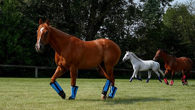 Warrior Fly Boots for Donkeys, Ponys, or Yearlings - Breathable Mesh Horse Boots for Fly Protection & Leg Comfort - Set of 4 (Mighty Warrior, Neon Orange)