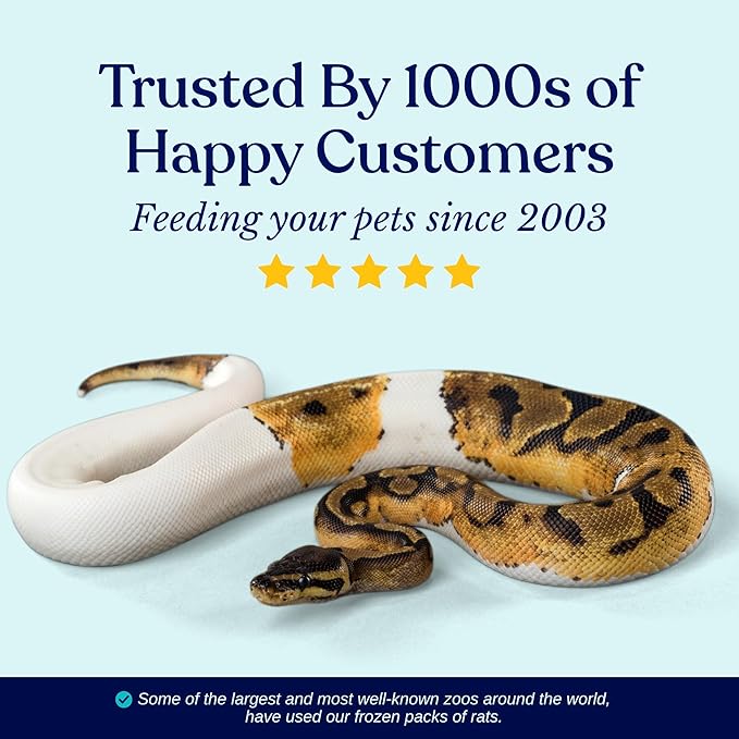 MiceDirect Frozen Rat Smalls Feeder Food Adult Ball Pythons Adult Red Tail Boas Monitors Lizards (4.5-6 in (Pack of 75))